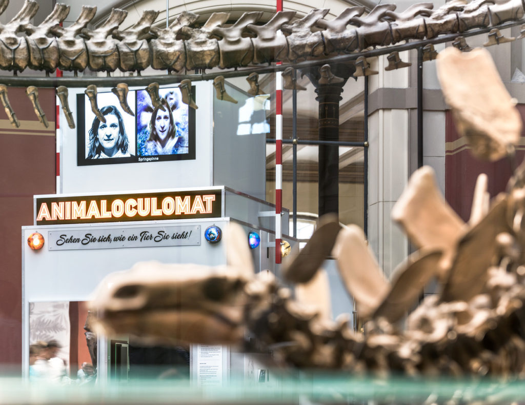 A multimedia sculpture entitled Animaloculomat with signs and photographs. Dinosaur skeletons in the foreground.