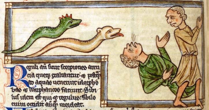 Image 3. 'A snake attack'. British Library, Harley MS 3244, f.59v [Source: www.bl.uk/catalogues/illuminatedmanuscripts/]