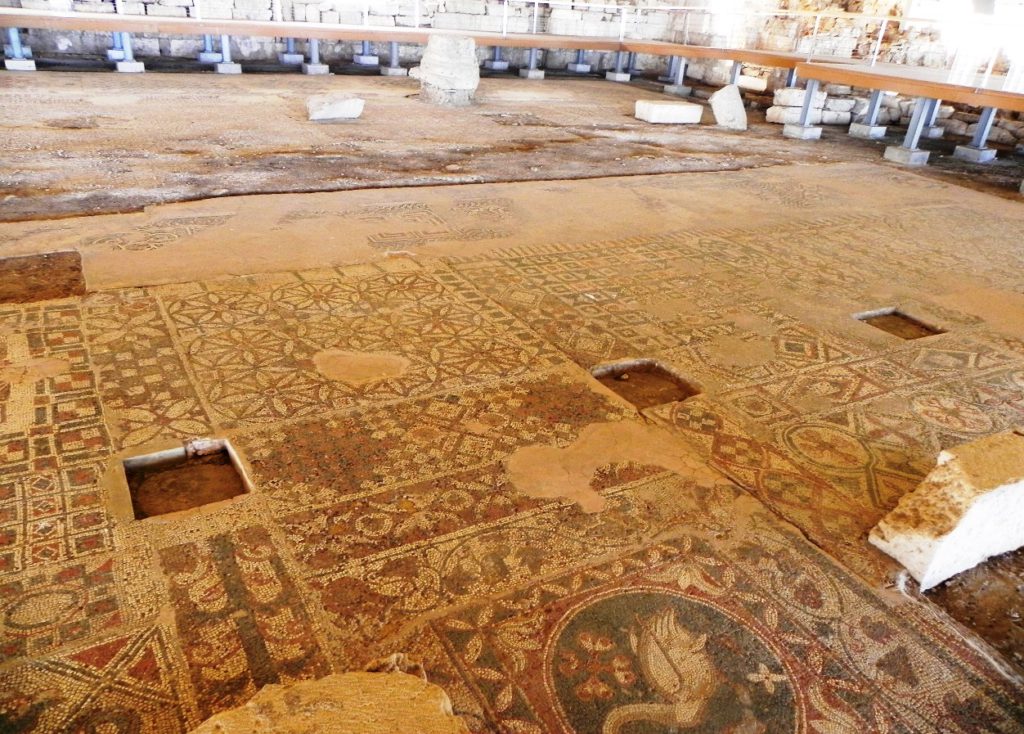 Image 7. View of the mosaic floor of the basilica of saint Auxibios at Soloi, Cyprus today (now in the northern occupied area). [Photo: Dr. Doria Nicolaou, with permission]