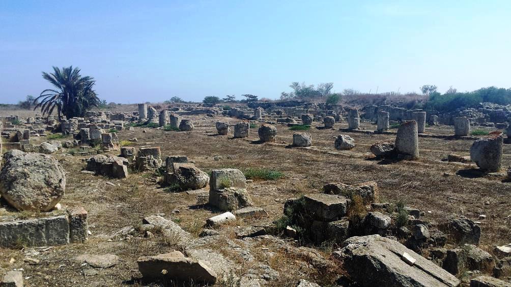 Image 8. General view of the basilica of saint Epiphanios at Salamis, Cyprus today (now in the northern occupied area). [Photo: Rania Michail, with permission]